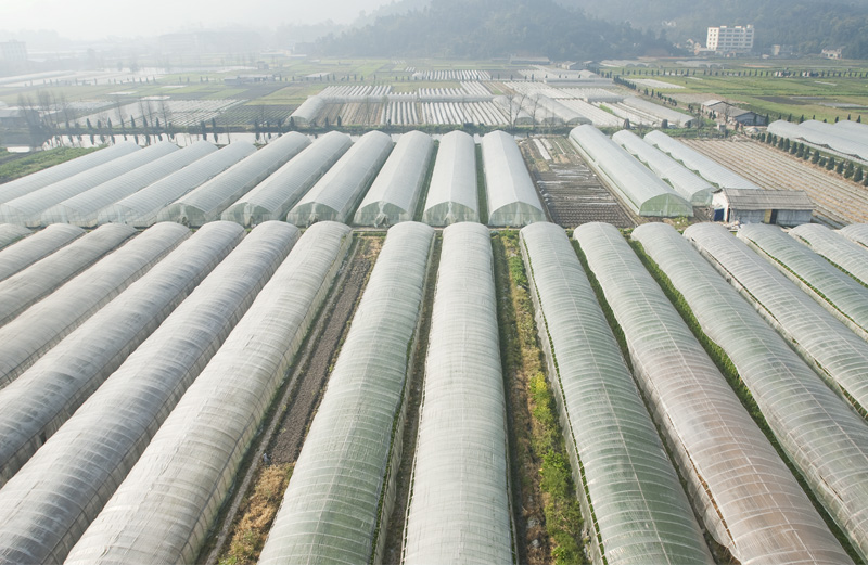 新疆蔬菜大棚建設